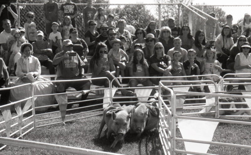 14-800x495.jpg
