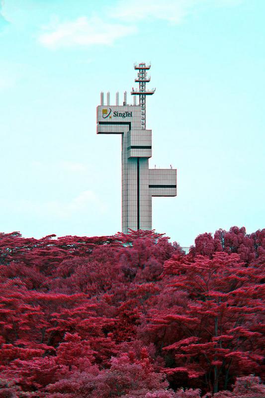 36214695.jpg