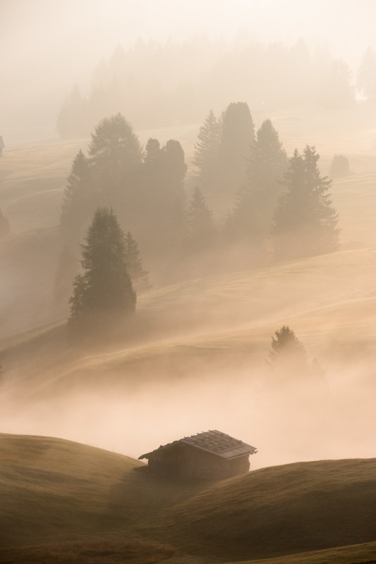 05-livieri_siusi_curves-533x800.jpg