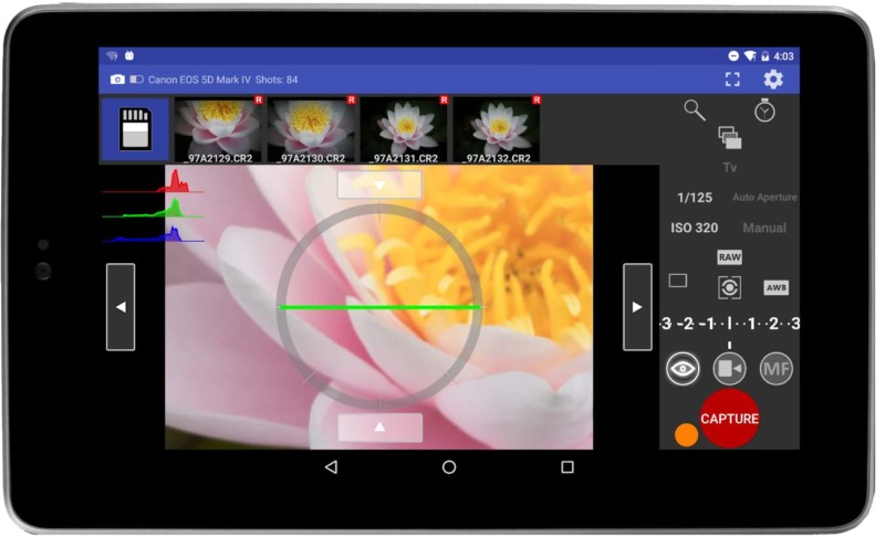 LiveViewFlower-800x487.jpg