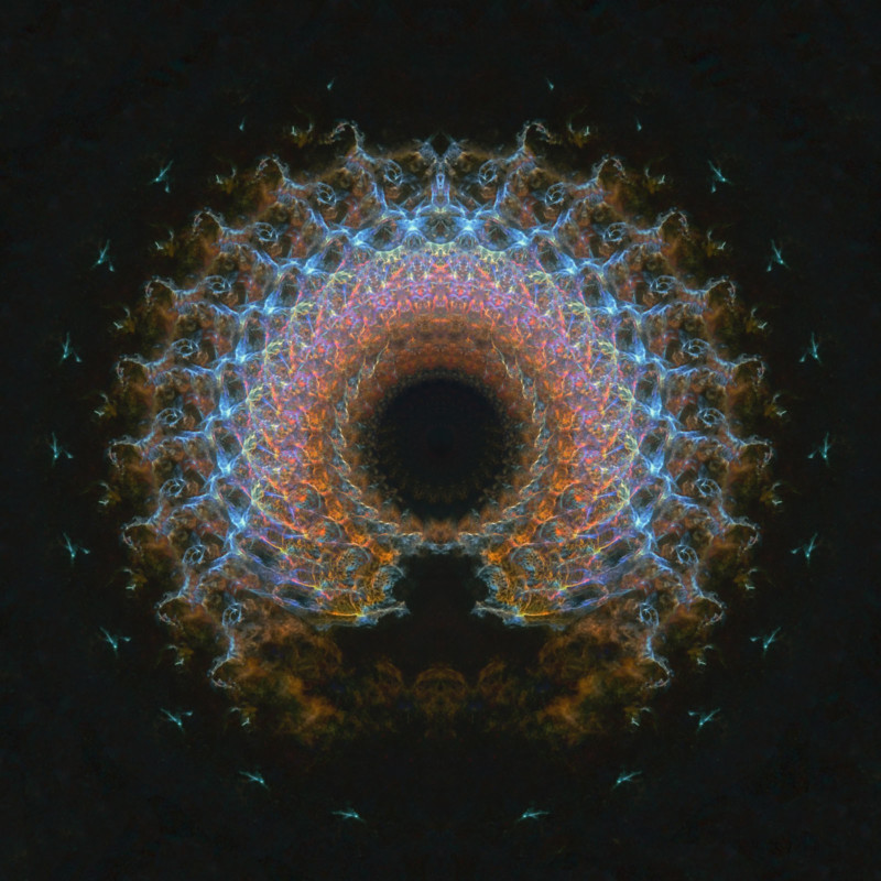 2.Veil_VisionB-800x800.jpg