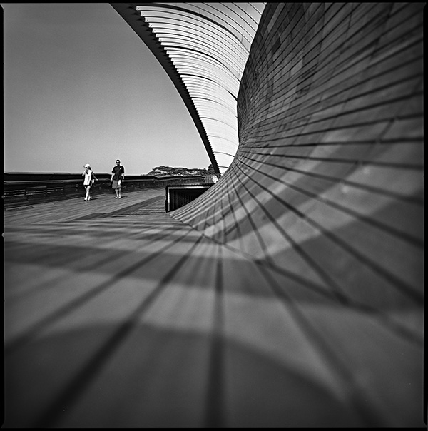 Henderson_Wave_Bridge_by_sim4nee.jpg