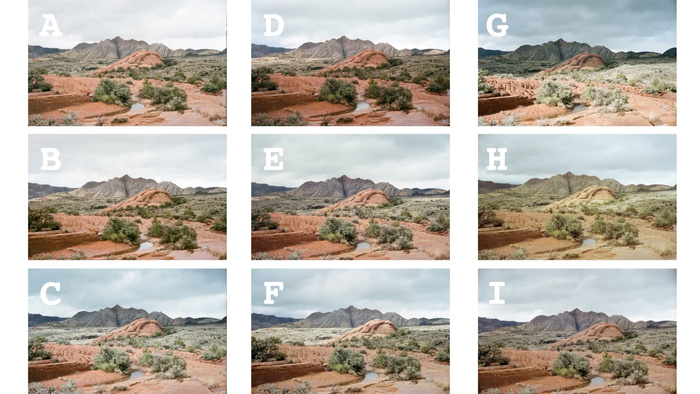 Which Film Stock Is Best for You? A Comparison of 9 Films
