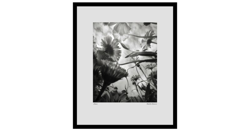 pinholeprint-800x420.jpg