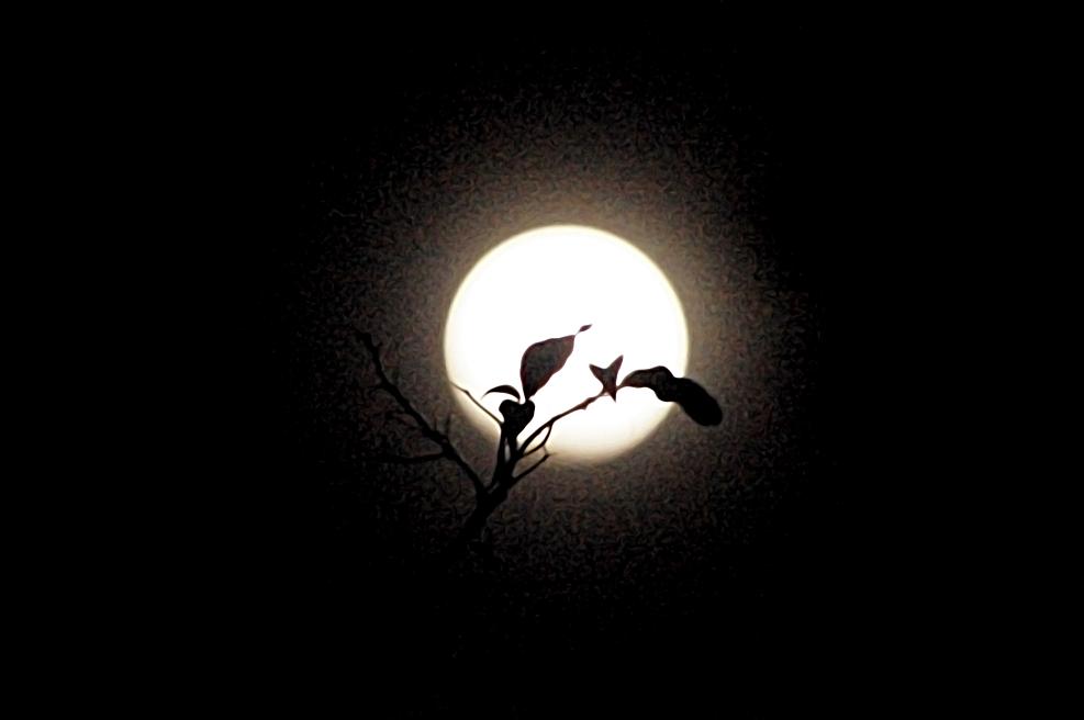 moon.JPG