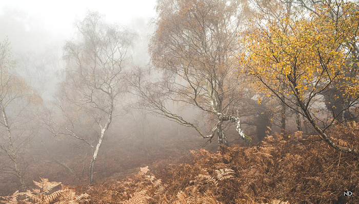 7 Tips for Becoming a Better Landscape Photographer