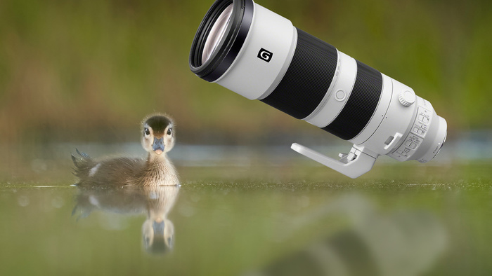 Fstoppers Long-Term Review of the Sony FE 200-600mm f/5.6-6.3 G OSS Lens