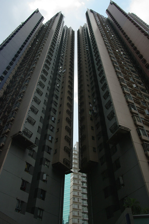 558086602_riVY2-XL.jpg