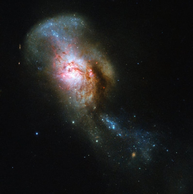 potw1939a-796x800.jpg