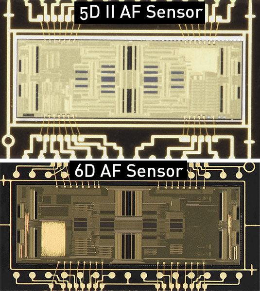5DII_6D_AF_Sensor.jpg