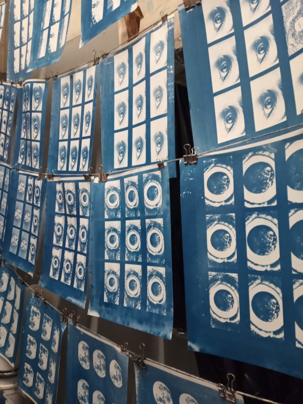 Cyanotypes-after-wash-600x800.jpg