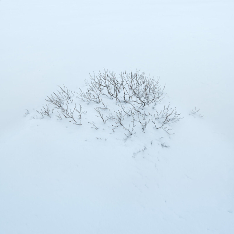 IN-SNOW-800x800.jpg