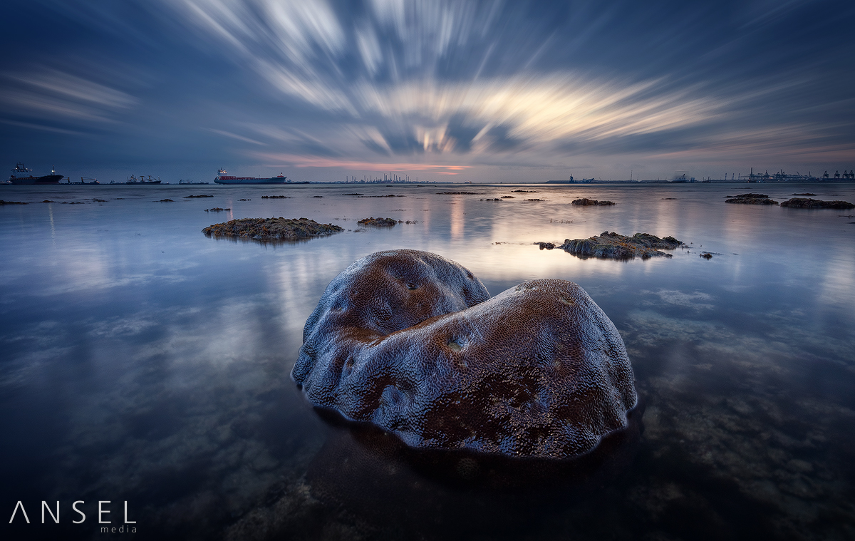 z_rewake_by_draken413o-d6pkr7h.jpg