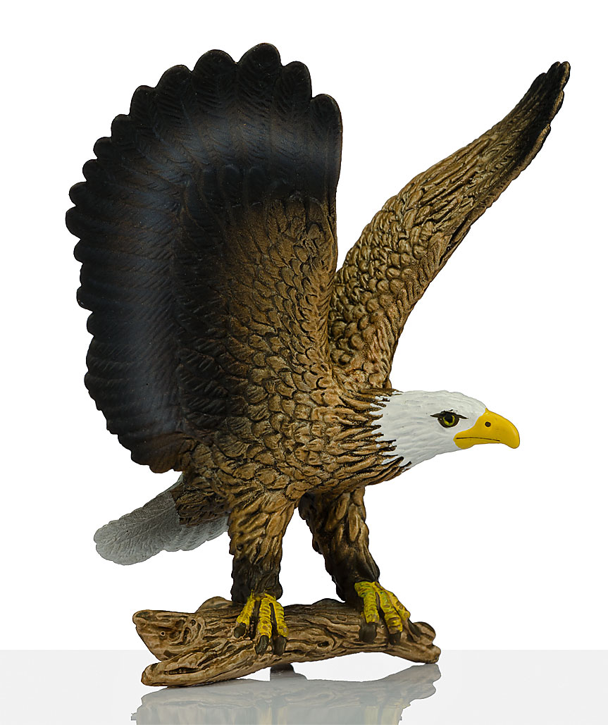 16898924394_ee7a374a61_o.jpg