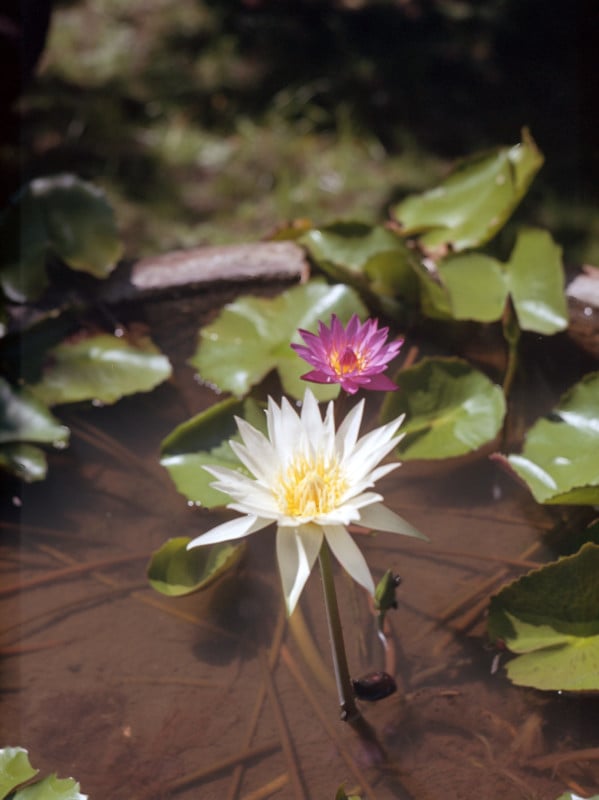 Zone-shot_Dora_Goodman_045-599x800.jpg