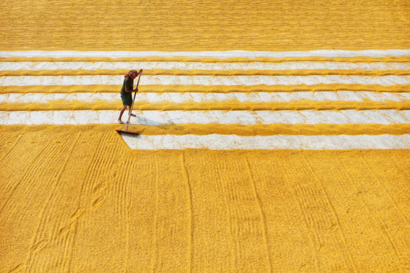 rural-india-travel-roy-petapixel-9-800x533.jpeg