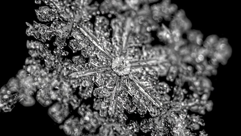 4k.00_00_38_00.Standbild004-800x450.jpg