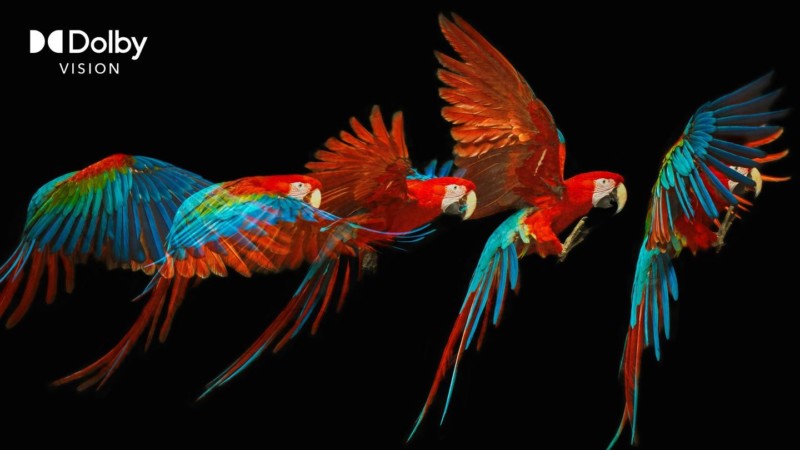 104-dolby-vision-visualiser-parrot-after-800x450.jpg