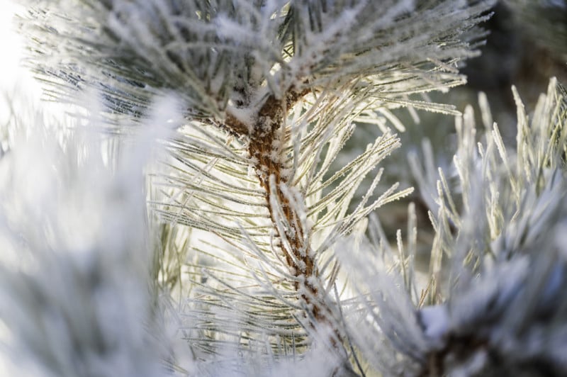Winter_Photography_04-800x532.jpg