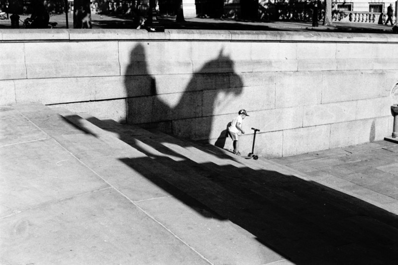 image1-800x534.jpeg