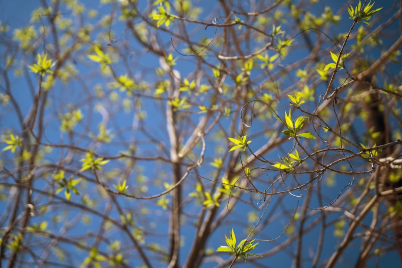 DSC2144-800x534.jpg