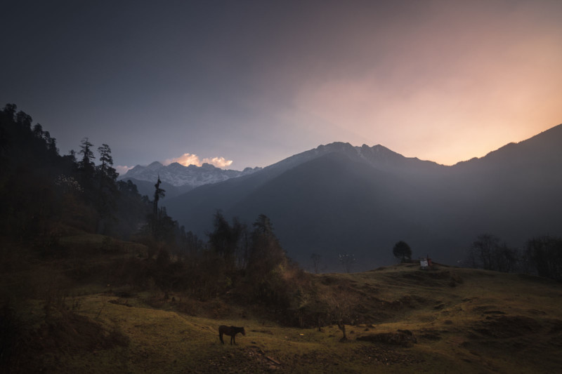 THE-VALLEY-OF-TSHOKA-800x533.jpg
