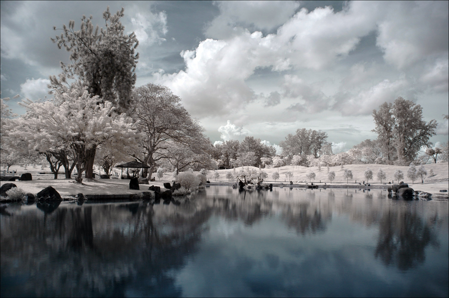 Japanese_Gardens_IR_II_by_log1t3ch.jpg