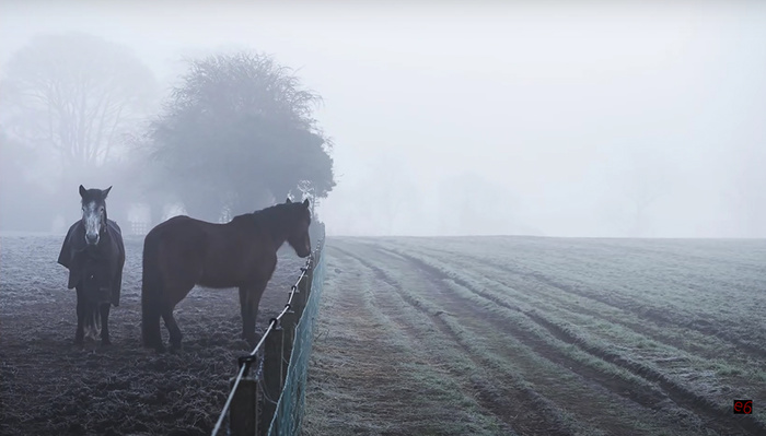 How To Use Negative Space to Improve Your Photography