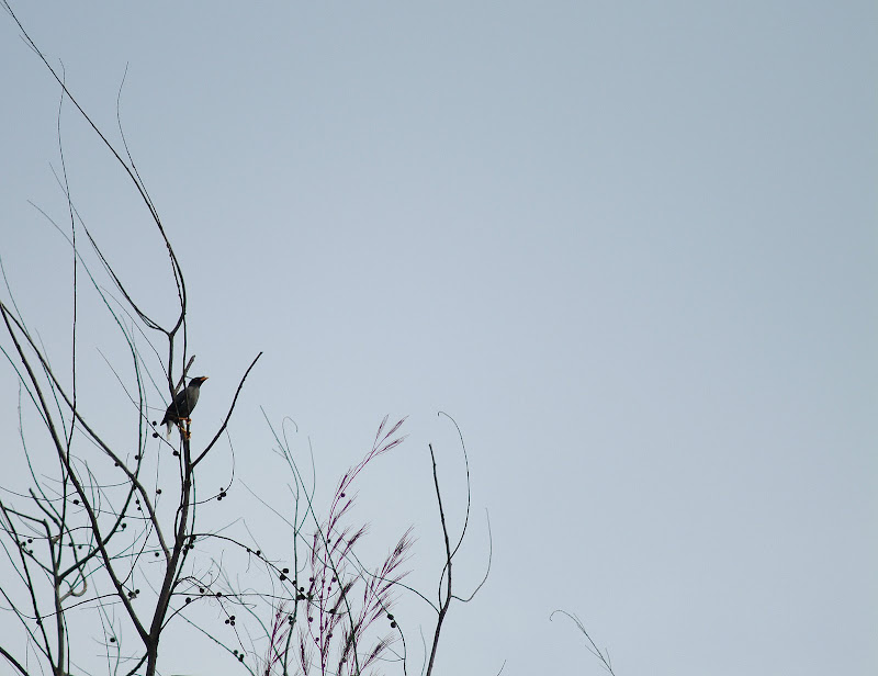 DSCF5731.jpg