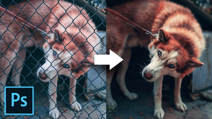 How to Remove a Chain Link Fence Using Photoshop