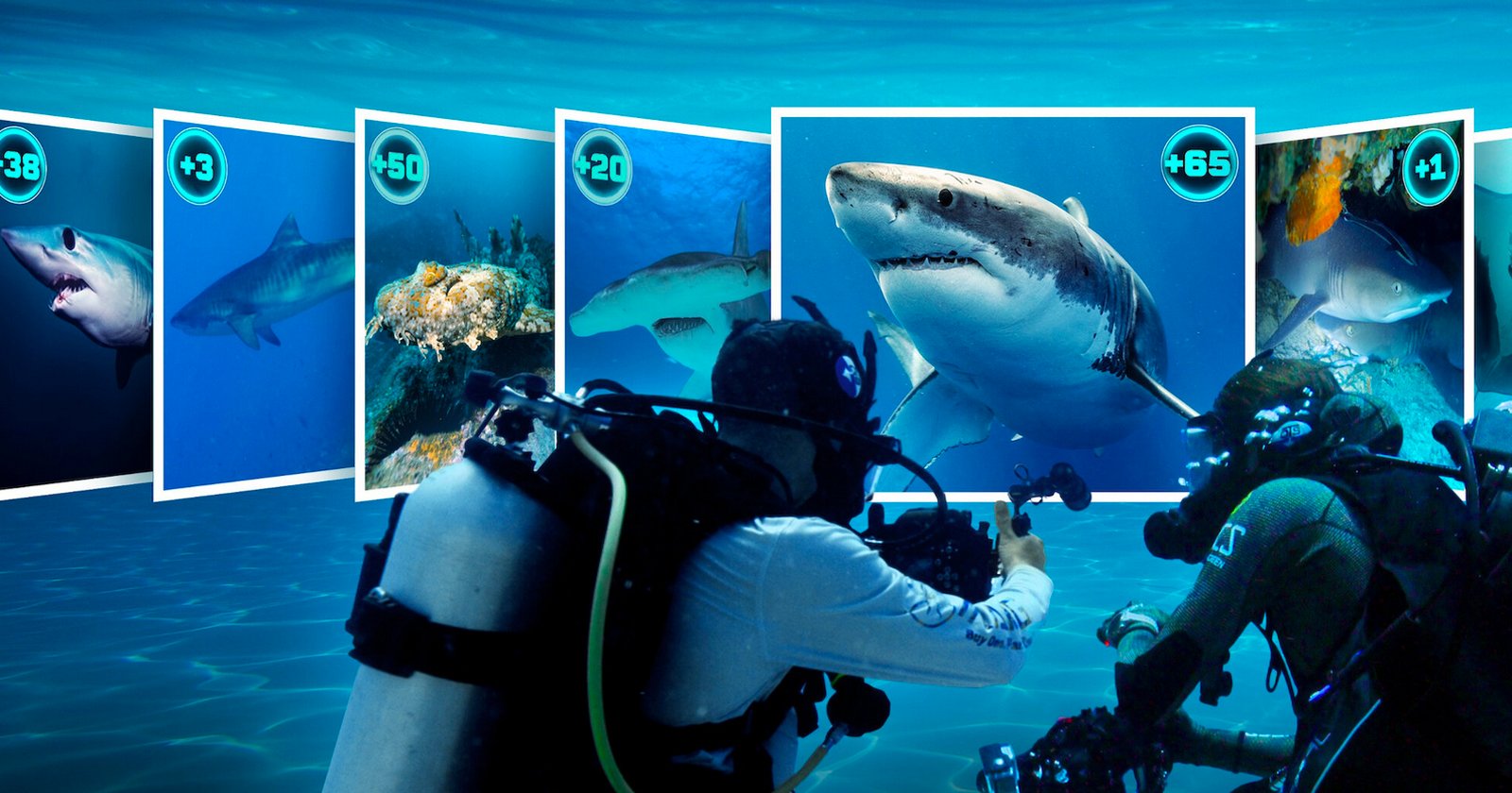 Two scuba divers photograph and film sharks underwater. In front of them, images of sharks with various point values are displayed, as if part of a game or leaderboard interface, blending real-life diving with a digital overlay.