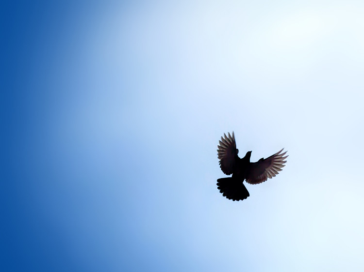5496166560_a7e096e50c_b.jpg