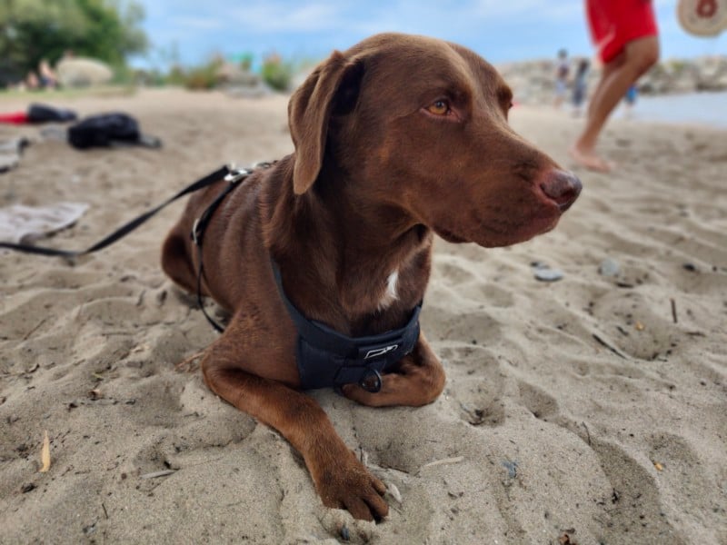 Realme-GT-Explorer-portrait-800x600.jpg