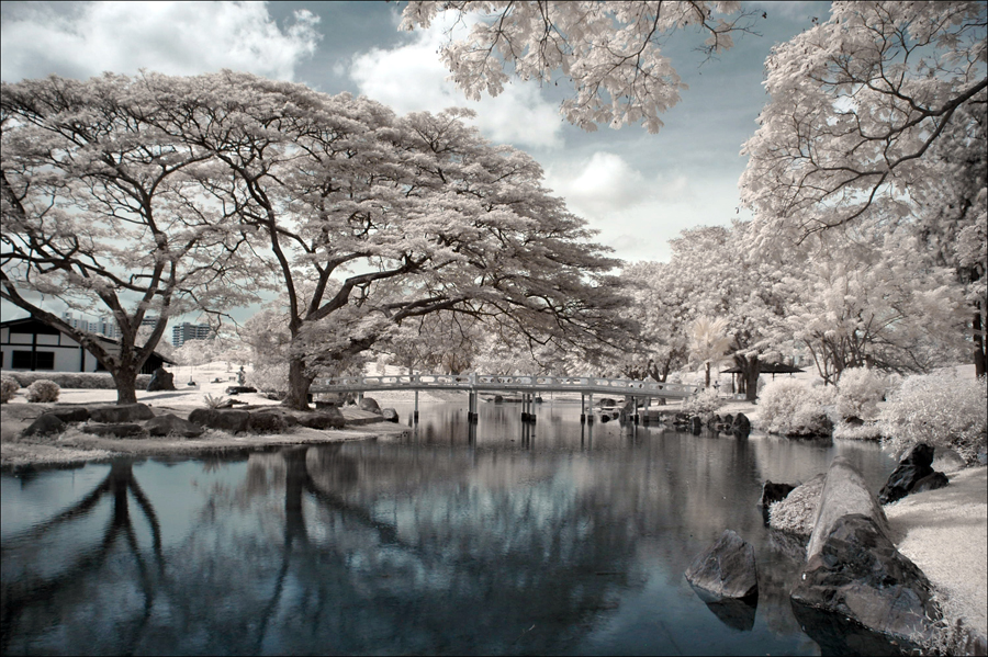 Japanese_Gardens_IR_III_by_log1t3ch.jpg
