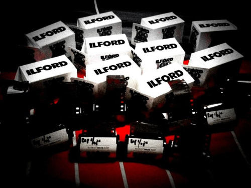 tumblr_l08wbn8XZf1qa9nzco1_500.jpg