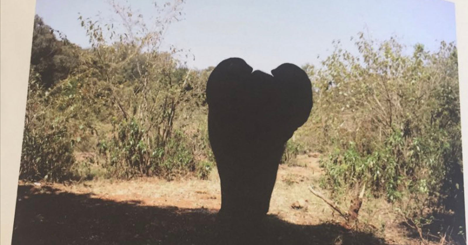 A large, dark rock shaped vaguely like a heart stands in the foreground of a dry, grassy area with scattered bushes and trees under a clear sky.