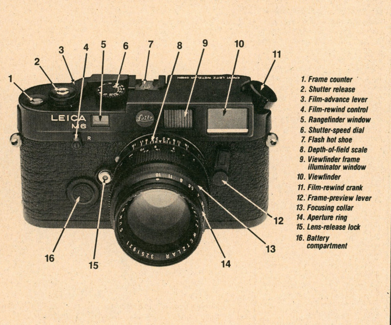 leicam6-9012-poppho-001b-800x665.jpg