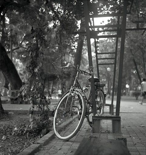 123.jpg