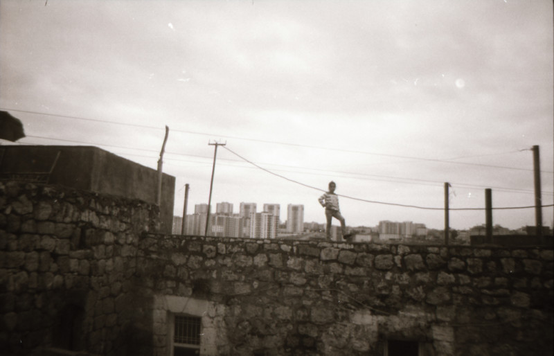 Cane8-years-old-ras-el-ayin-syria-1-800x514.jpg
