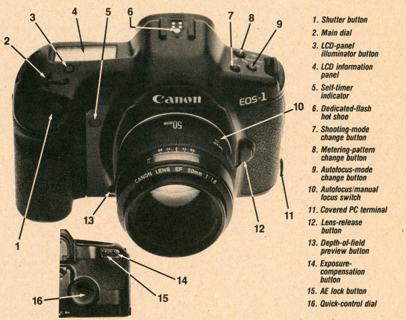 canoneos1-9012-poppho-001b-800x631.jpg