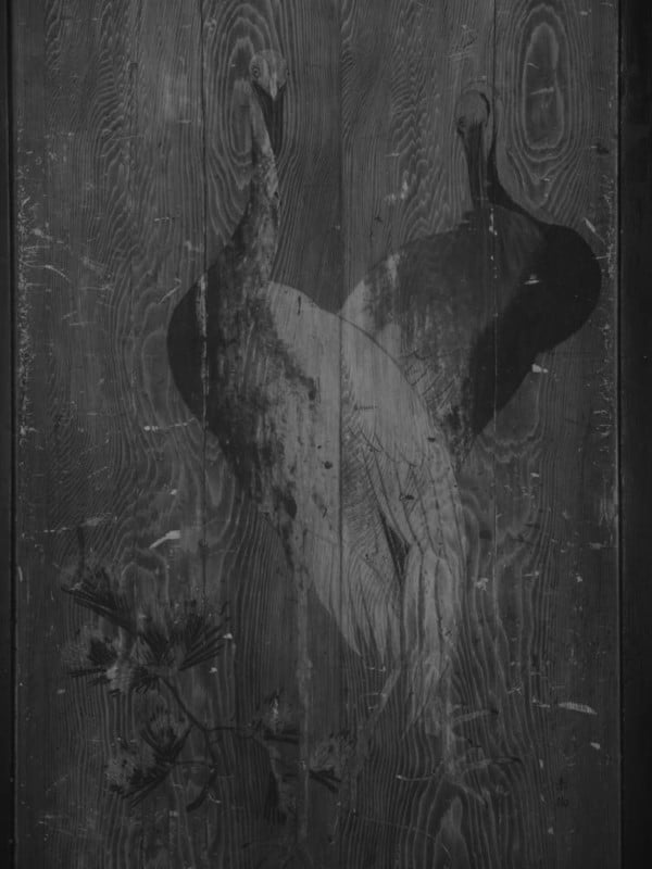 gfx100-ir_news-content_IR1-600x800.jpg