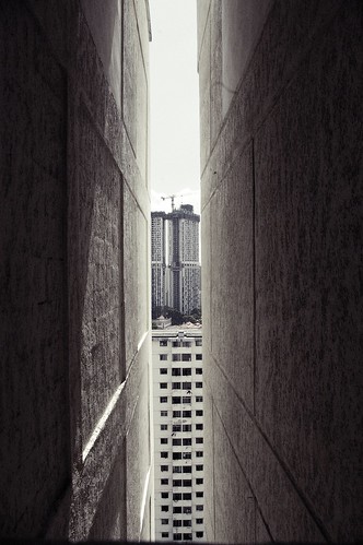 3209481373_b6481cf8eb.jpg