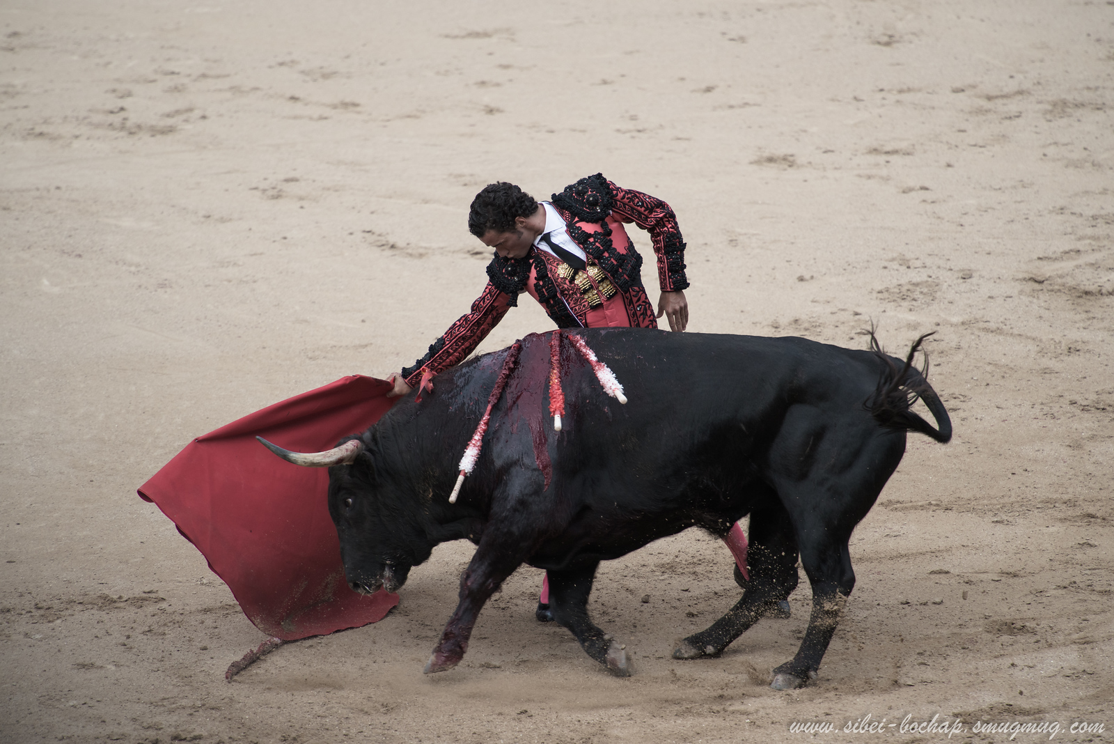 DSC7812-X3.jpg