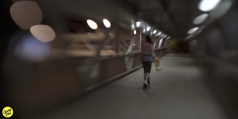 Deakinizer-Lens-4-800x399.jpeg
