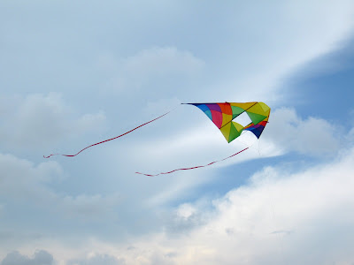 IMG_3390.JPG