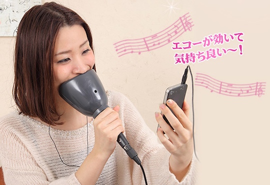 hitori-de-karaoke-dx-solo-noise-free-1.jpg