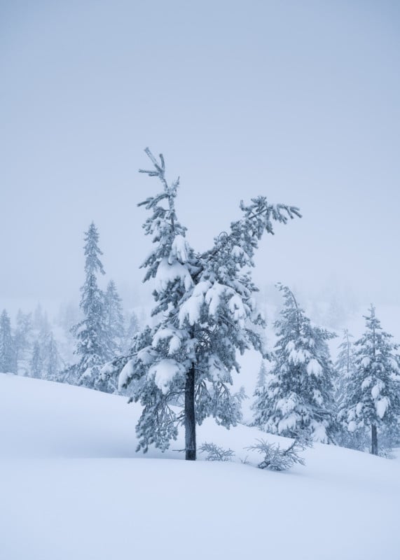 Christian-Hoiberg-Winter-Portraits-5-571x800.jpg