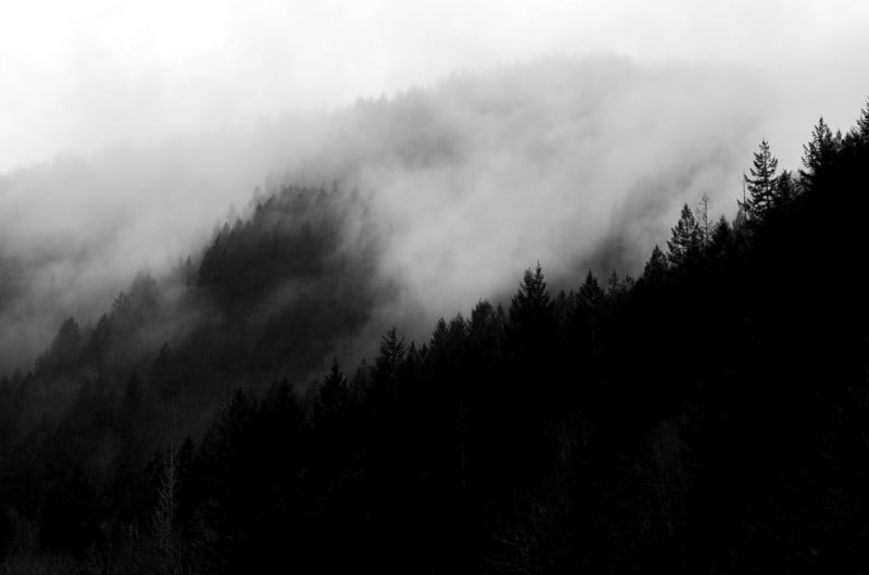 L1000601-800x529.jpg