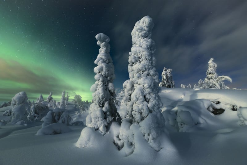20202_Zhu-Xiao_Northern-forest-800x534.jpg