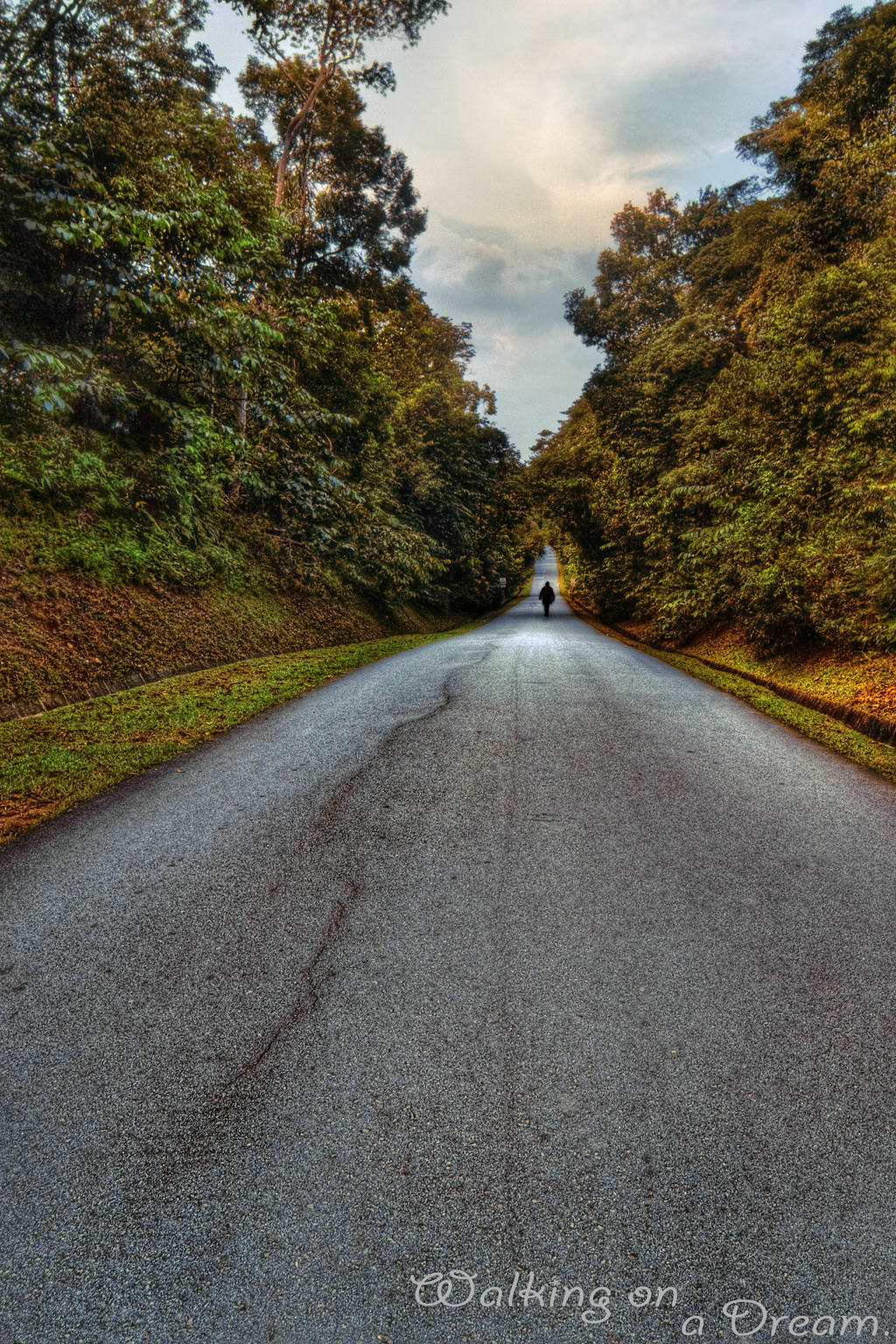 Walking_on_A_Dream_by_Draken413o.jpg